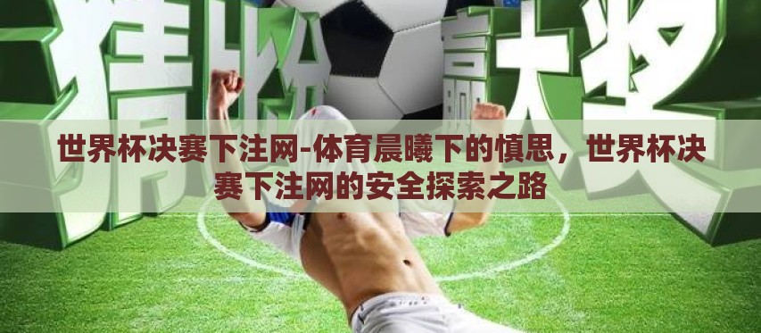 世界杯决赛下注网-体育晨曦下的慎思，世界杯决赛下注网的安全探索之路