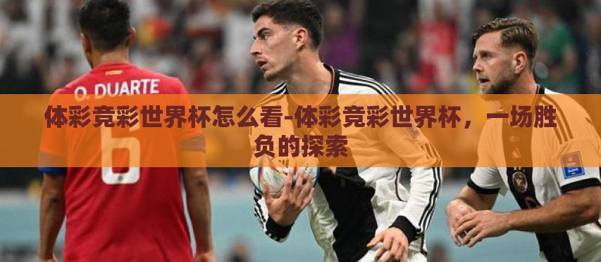 体彩竞彩世界杯怎么看-体彩竞彩世界杯,一场胜负的探索 体彩竞彩世界杯怎么看-体彩竞彩世界杯,一场胜负的探索
