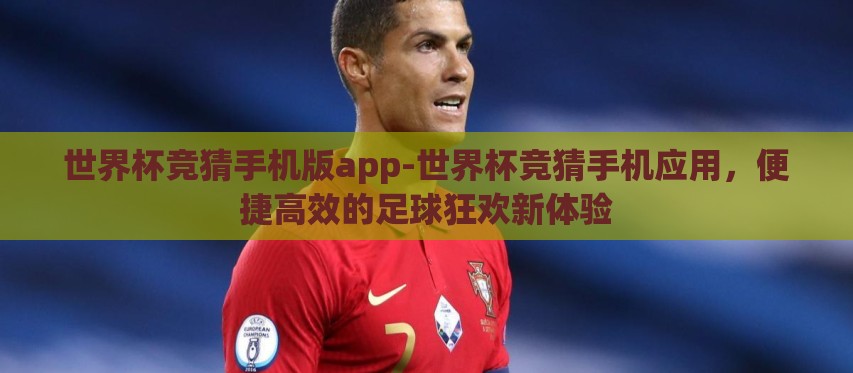世界杯竞猜手机版app-世界杯竞猜手机应用，便捷高效的足球狂欢新体验