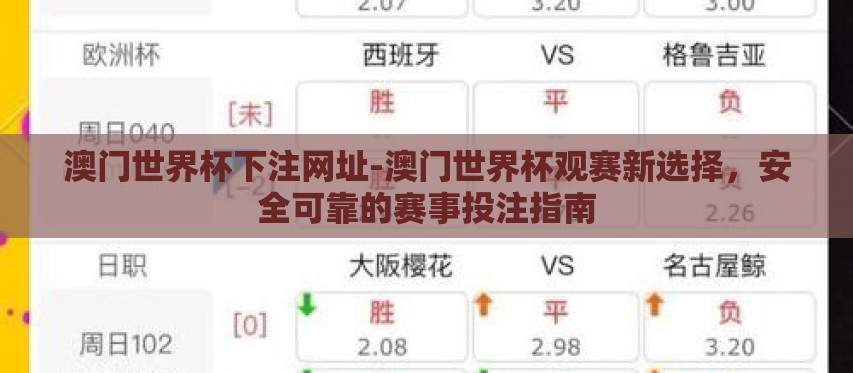 澳门世界杯下注网址-澳门世界杯观赛新选择，安全可靠的赛事投注指南