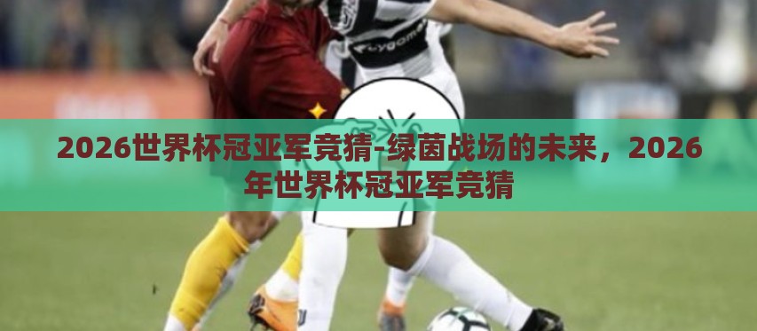 2026世界杯冠亚军竞猜-绿茵战场的未来，2026年世界杯冠亚军竞猜