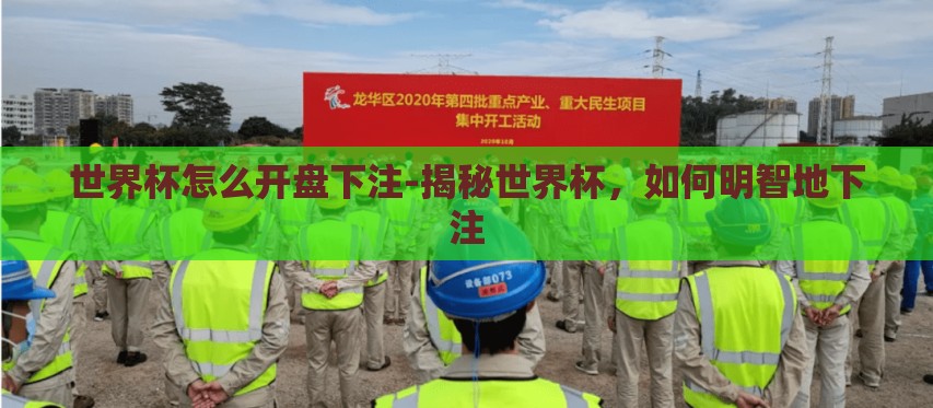 世界杯怎么开盘下注-揭秘世界杯，如何明智地下注