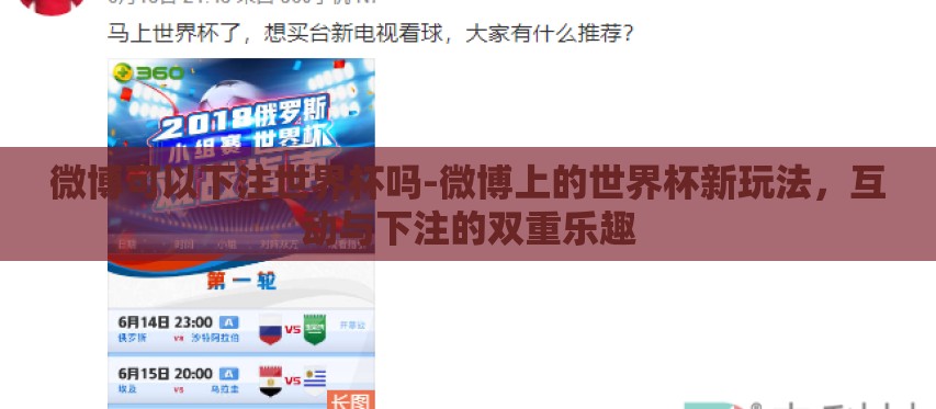 微博可以下注世界杯吗-微博上的世界杯新玩法,互动与下注的双重乐趣 微博可以下注世界杯吗-微博上的世界杯新玩法,互动与下注的双重乐趣