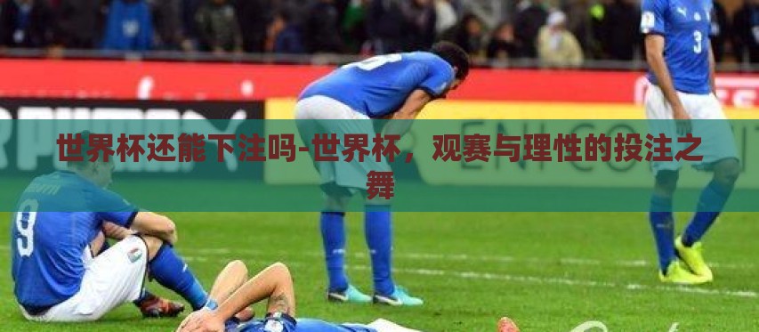世界杯还能下注吗-世界杯,观赛与理性的投注之舞 世界杯还能下注吗-世界杯,观赛与理性的投注之舞