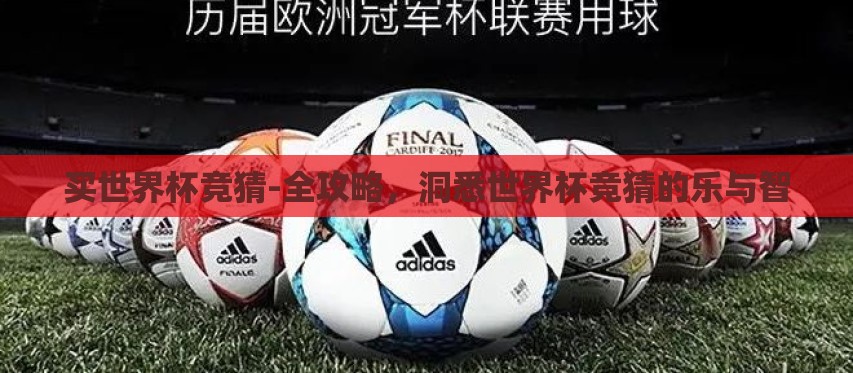 买世界杯竞猜-全攻略,洞悉世界杯竞猜的乐与智 买世界杯竞猜-全攻略,洞悉世界杯竞猜的乐与智