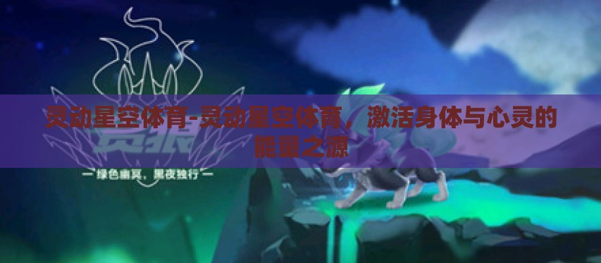 灵动星空体育-灵动星空体育，激活身体与心灵的能量之源